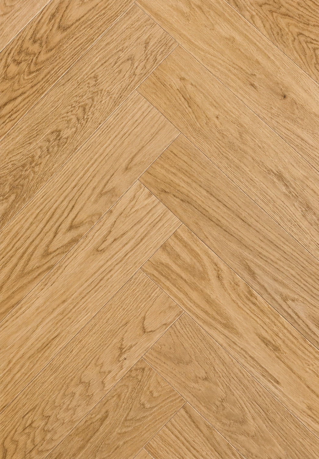 Bâton rompu naturel verni